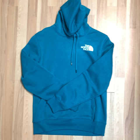 Hoodie the north face turquoise