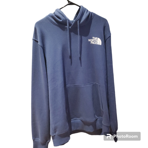 Hoodie the north face bleu gris